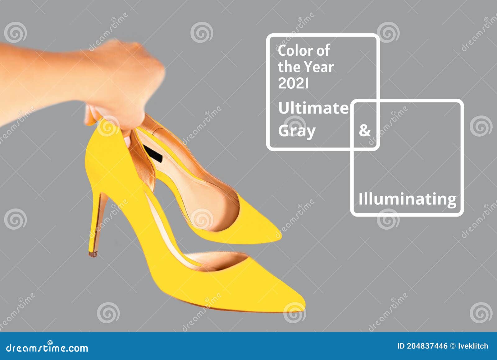 Bright colored women's shoes on a solid background. 3D rendering  illustration. 16345949 Stock Photo at Vecteezy
