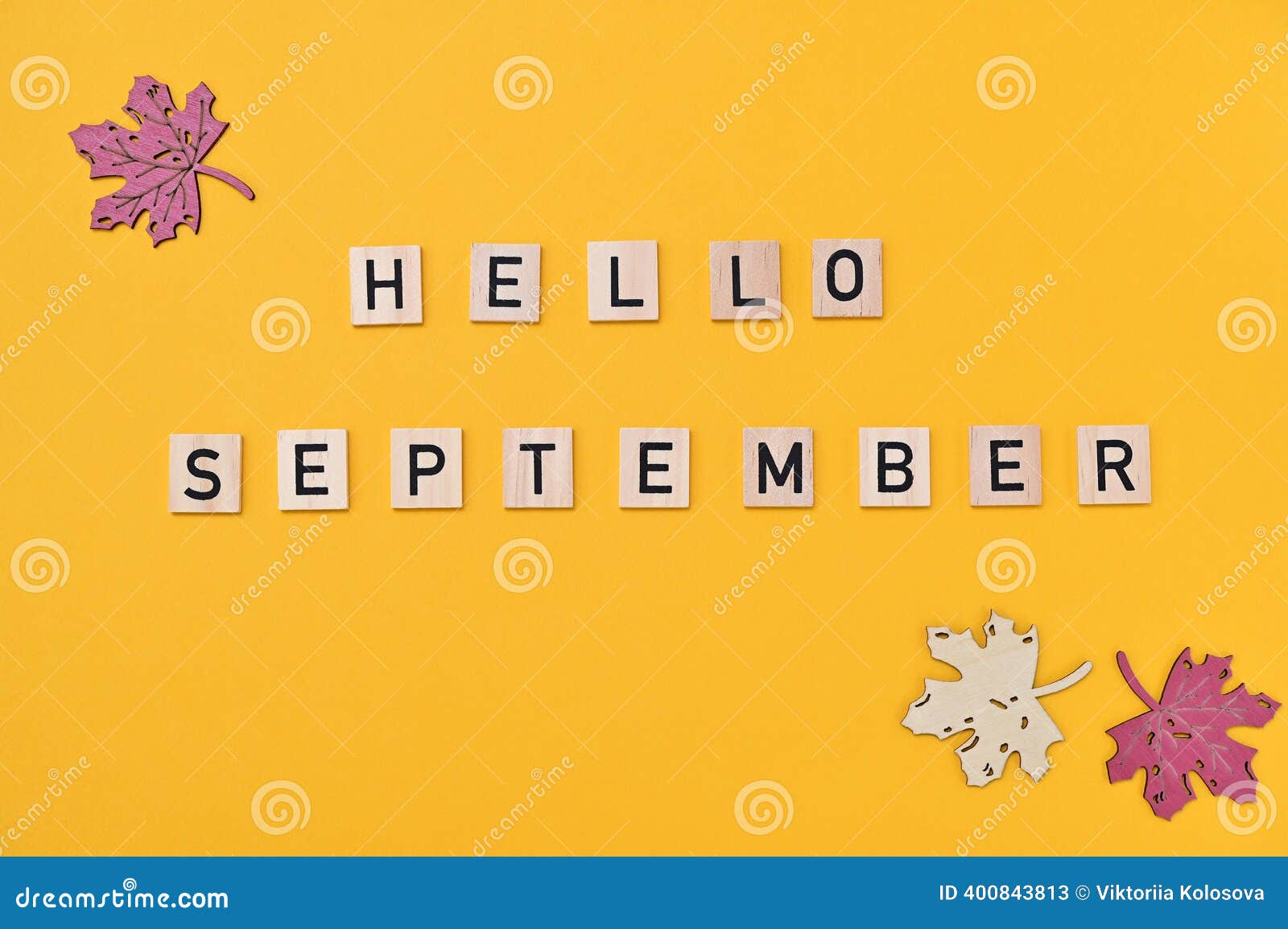 Piet Houtenbos | The New York Times, image size:1600x1155