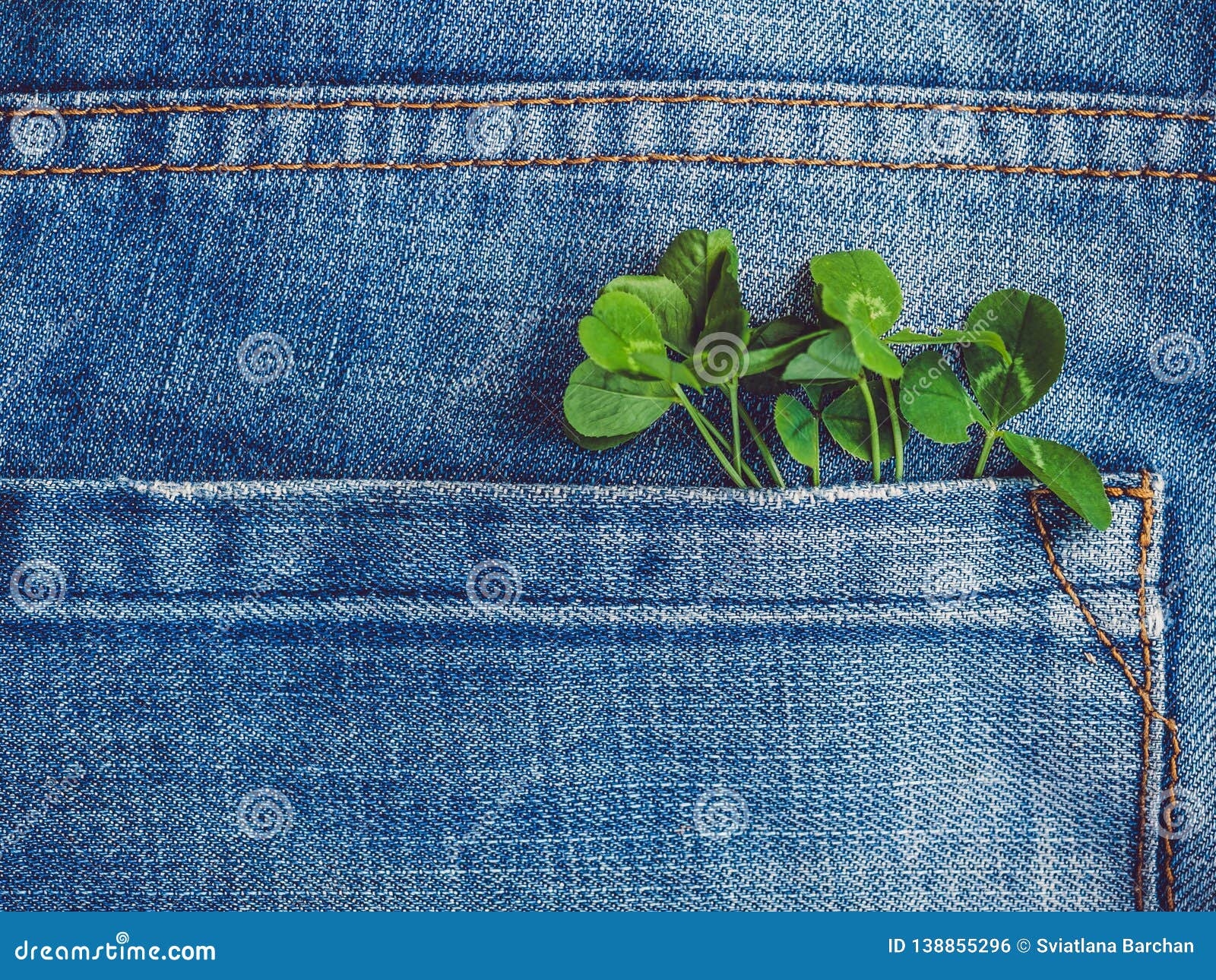 Leaves of Clover on a Background of Blue Jeans Stock Photo - Image of ...