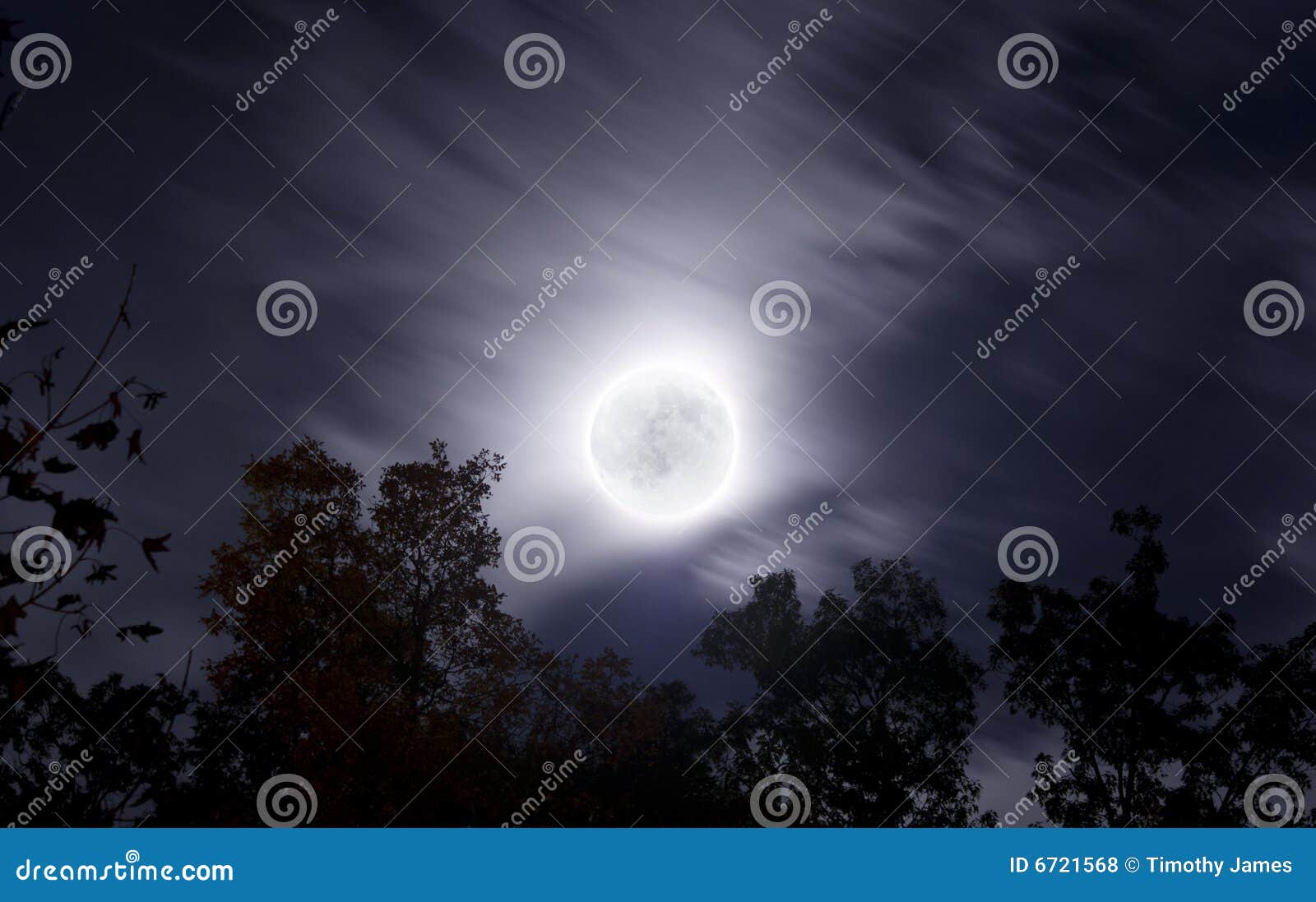 bright moon on fall night with clouds and foliage