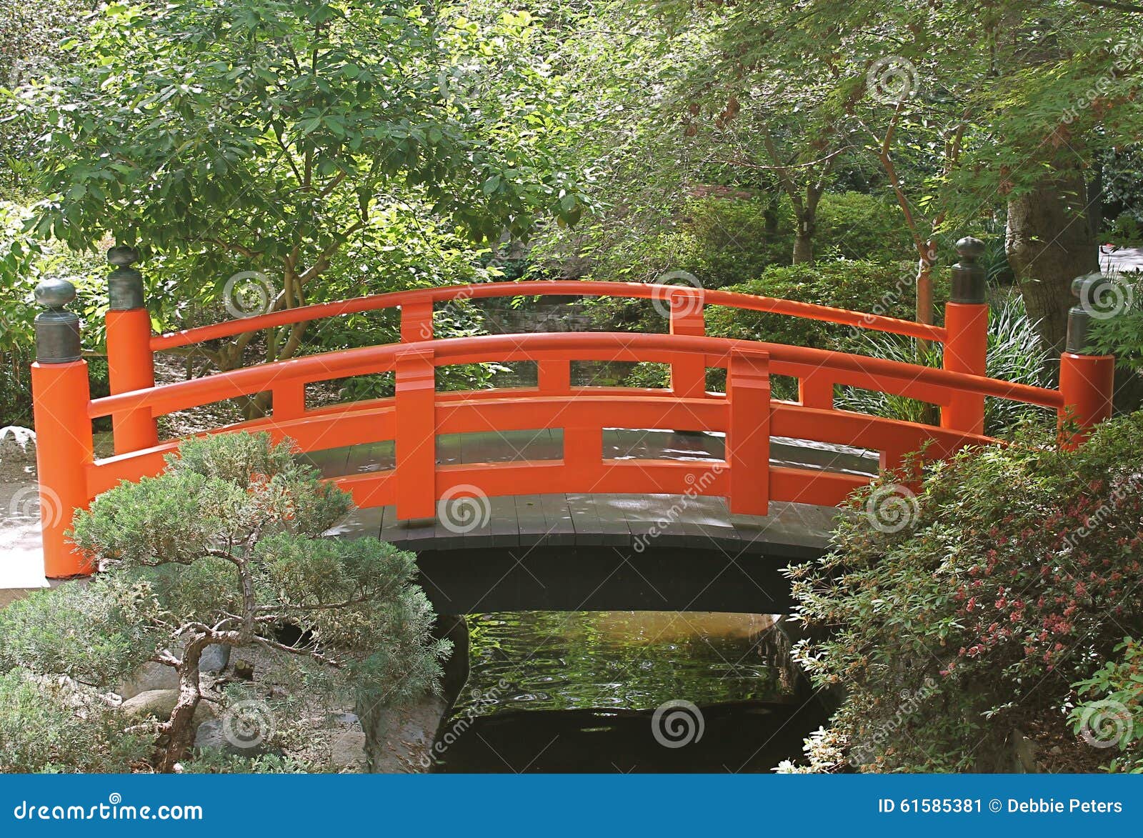 bright orange red japanese bridge at descanso gardens