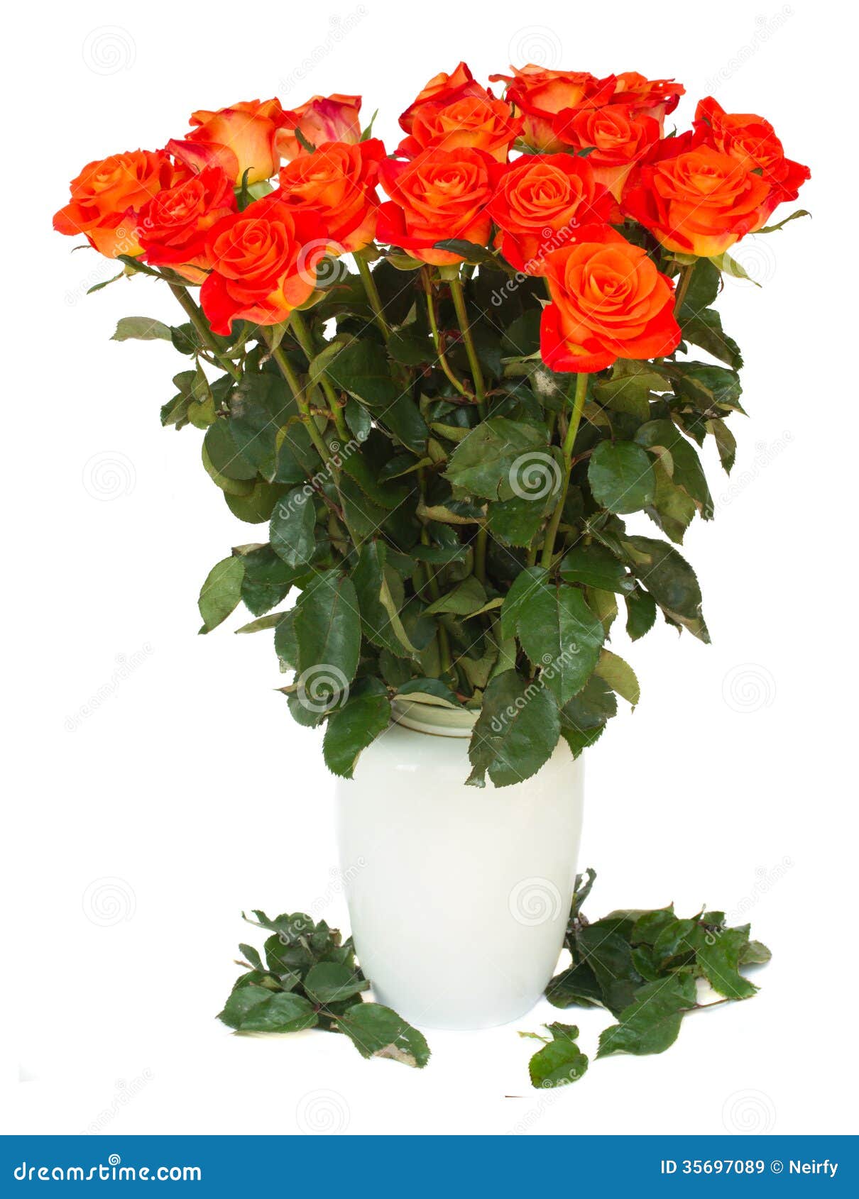 Bright Orange Roses in Vase Stock Image Image of celebration, group