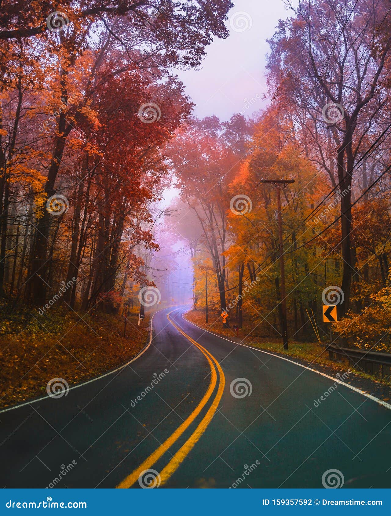 Winding Road Climbs Uphill In Fall Setting Stock Photo Image Of Forest Road Winding Road Climbs Uphill In Fall Setting Stock Photo Image Of Forest Road