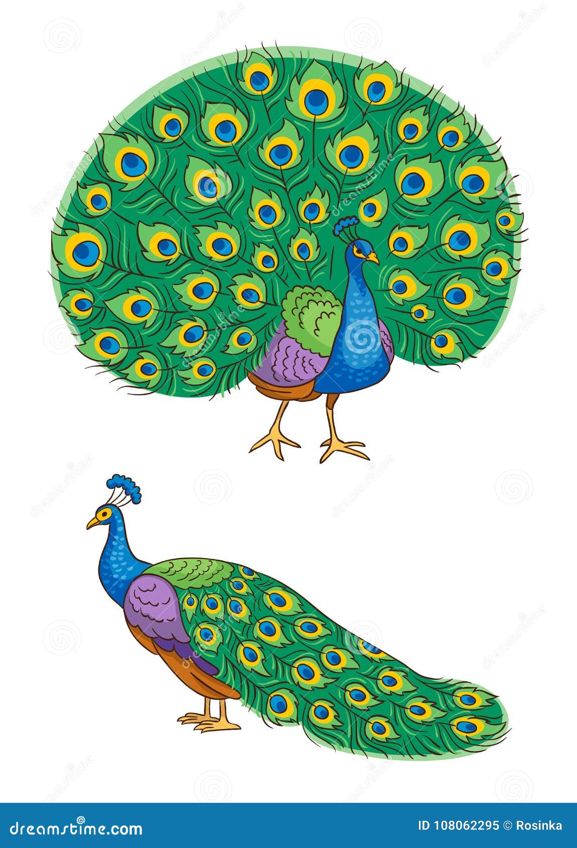 Bright Peacock - Vector Illustration Stock Vector - Illustration of ...