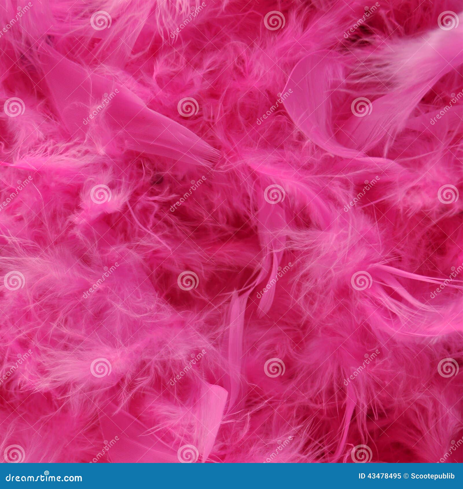 Bright pink feather boa stock image. Image of colour 43478495