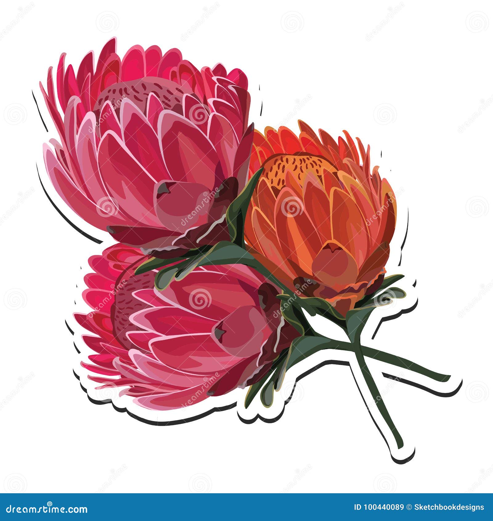 protea pink and orange