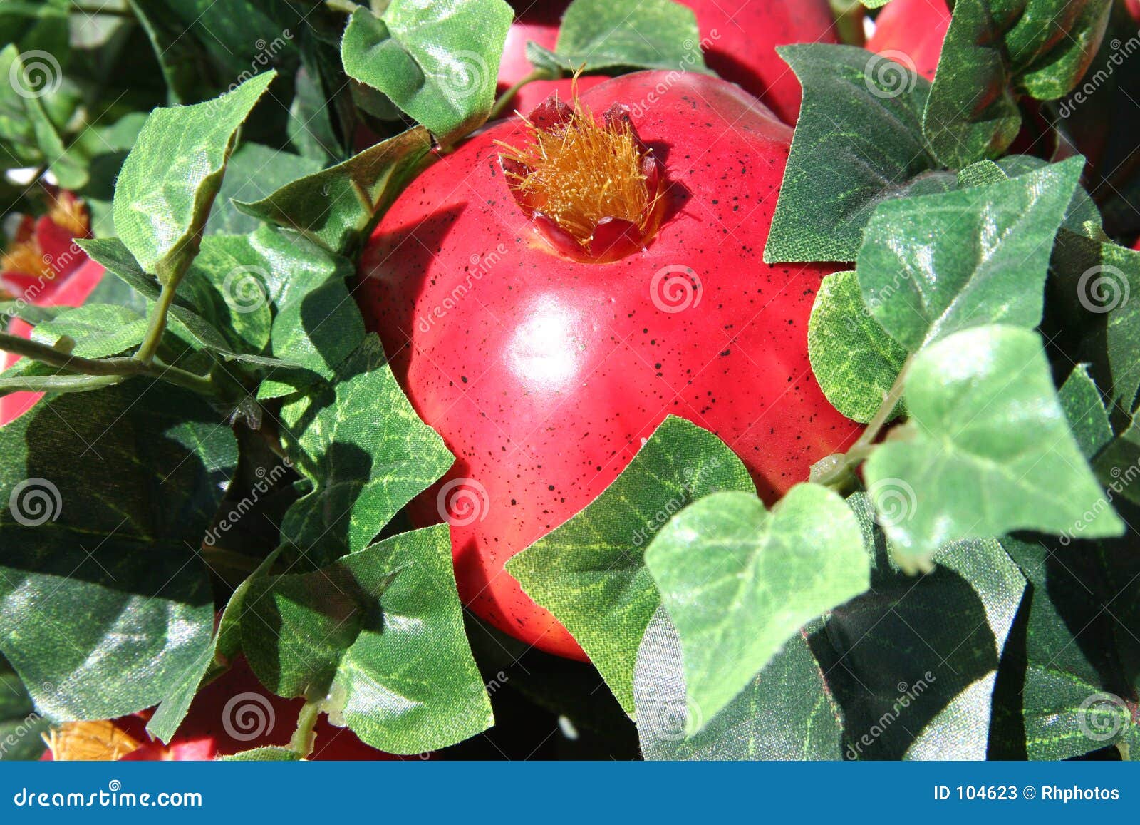 bright pomegranates in ivy