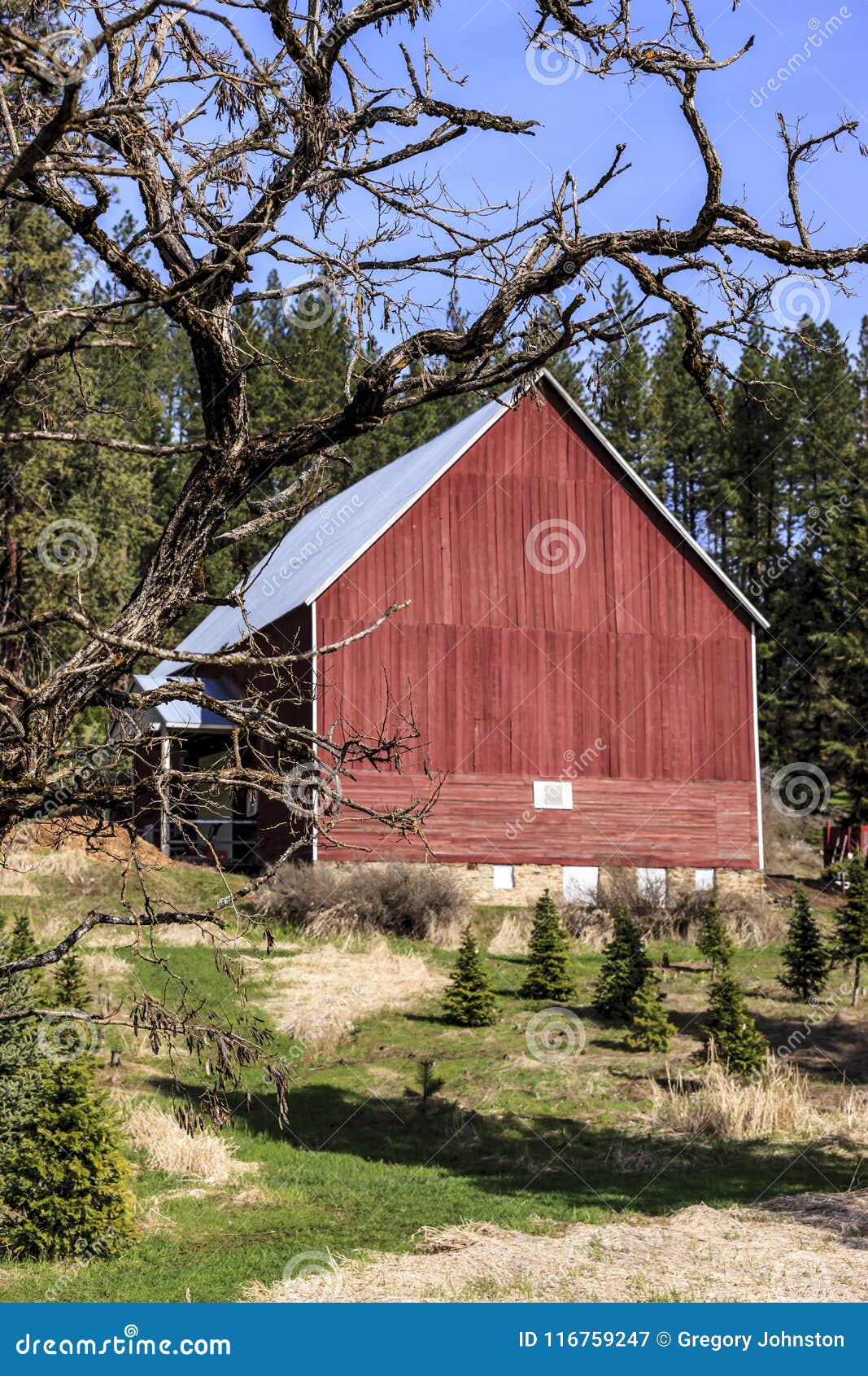 Bright Red Barn in Coeur D`Alene, Idaho. Stock Image Image of bright