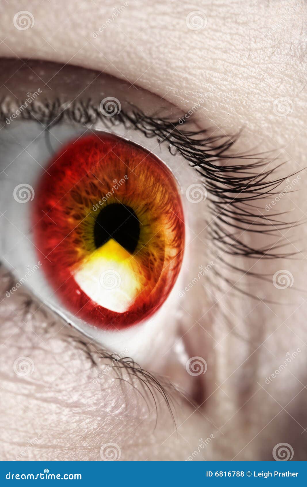 Bright Red Eye Royalty Free Stock Photos Image 6816788