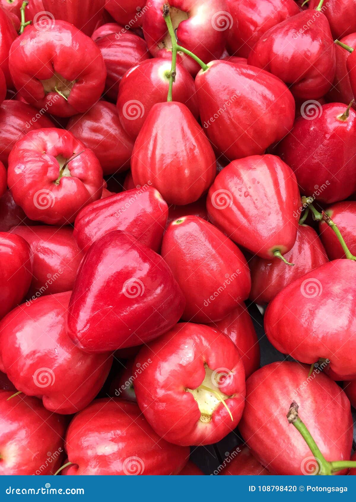 water rose apple