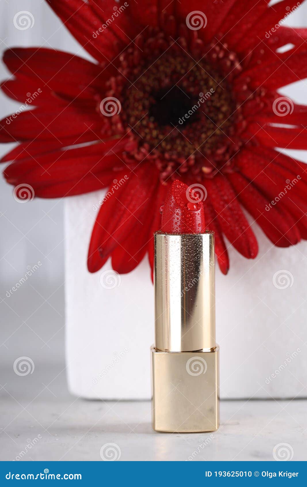 Bright red lipstick stock photo. Image of beauty, makeup 193625010