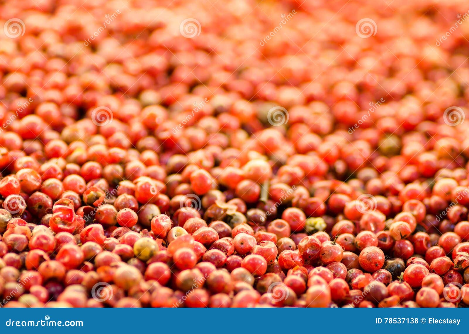 Bright Red Peppercorn on Asian Bazaar. Shallow Depth of Field Stock