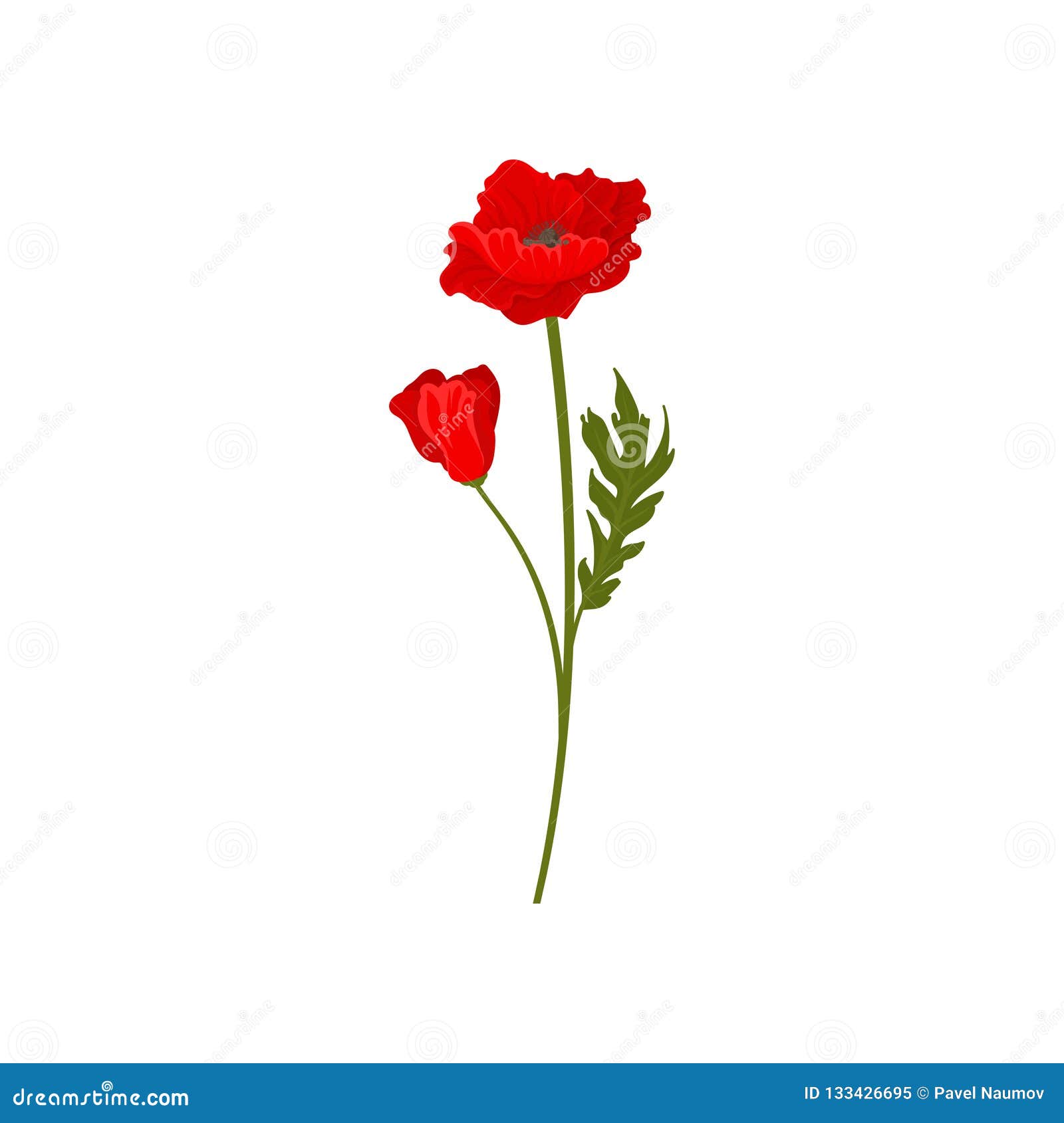 Bright Red Poppy Flowers with Stem, Floral Design Element Vector ...