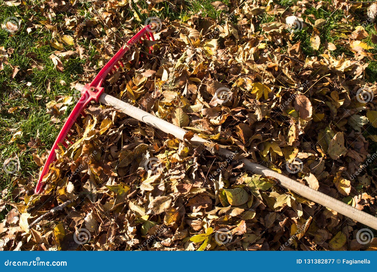 Bright Red Rake Resting on a Heap of Freshly Raked Autumn Leaves Stock ...