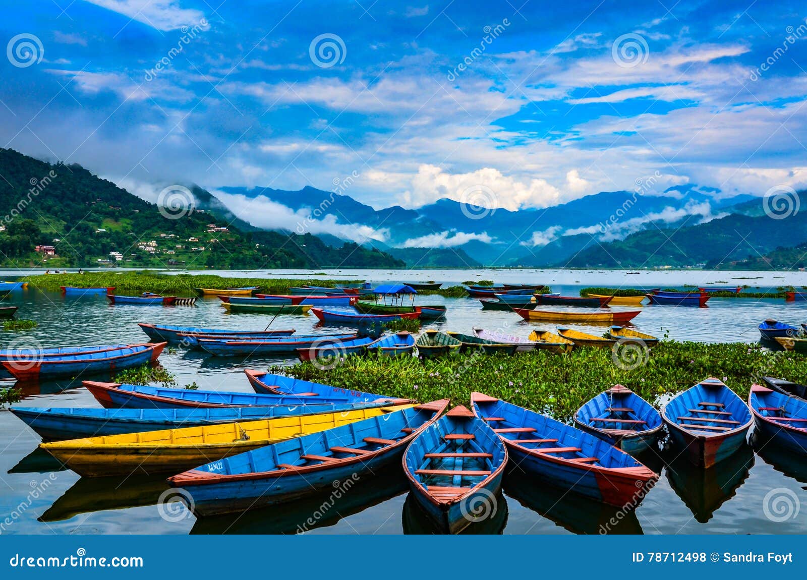 bright row boats - lake phewa, pokhara, nepal.