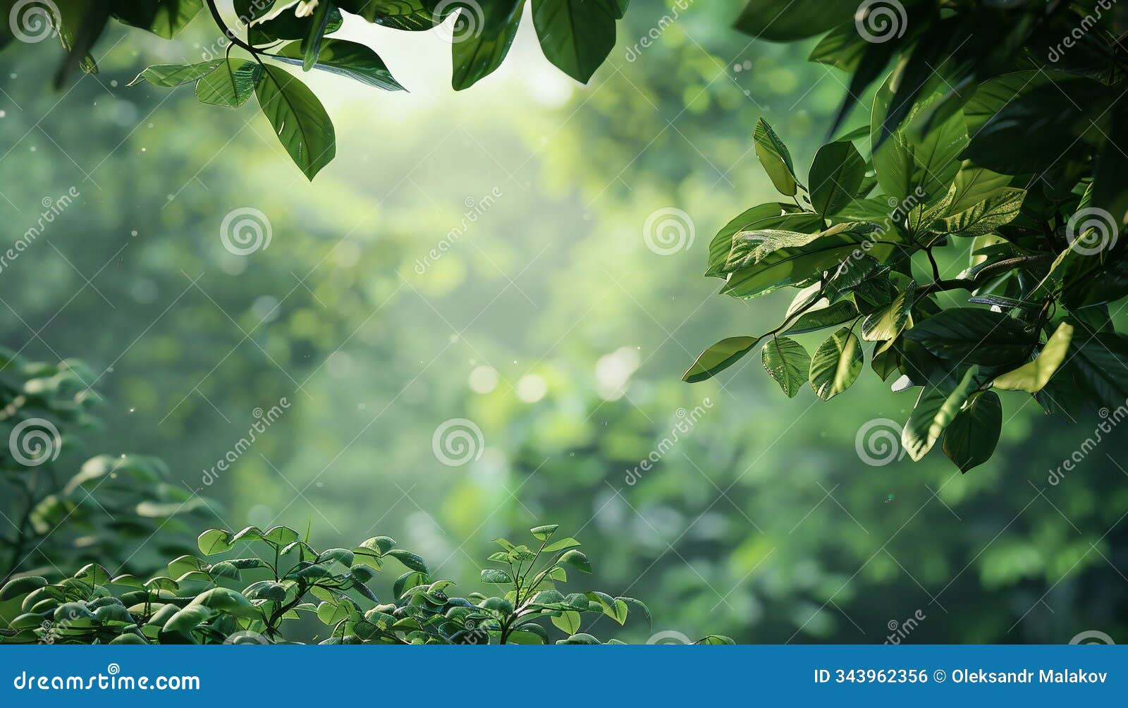 an image of a background with green leaves in a forest izing the celebration of earth day and world environment day