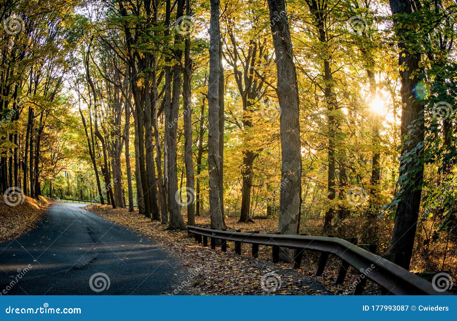 Autumn Landscape Featuring Colorful Trees Reflecting in a Lake in