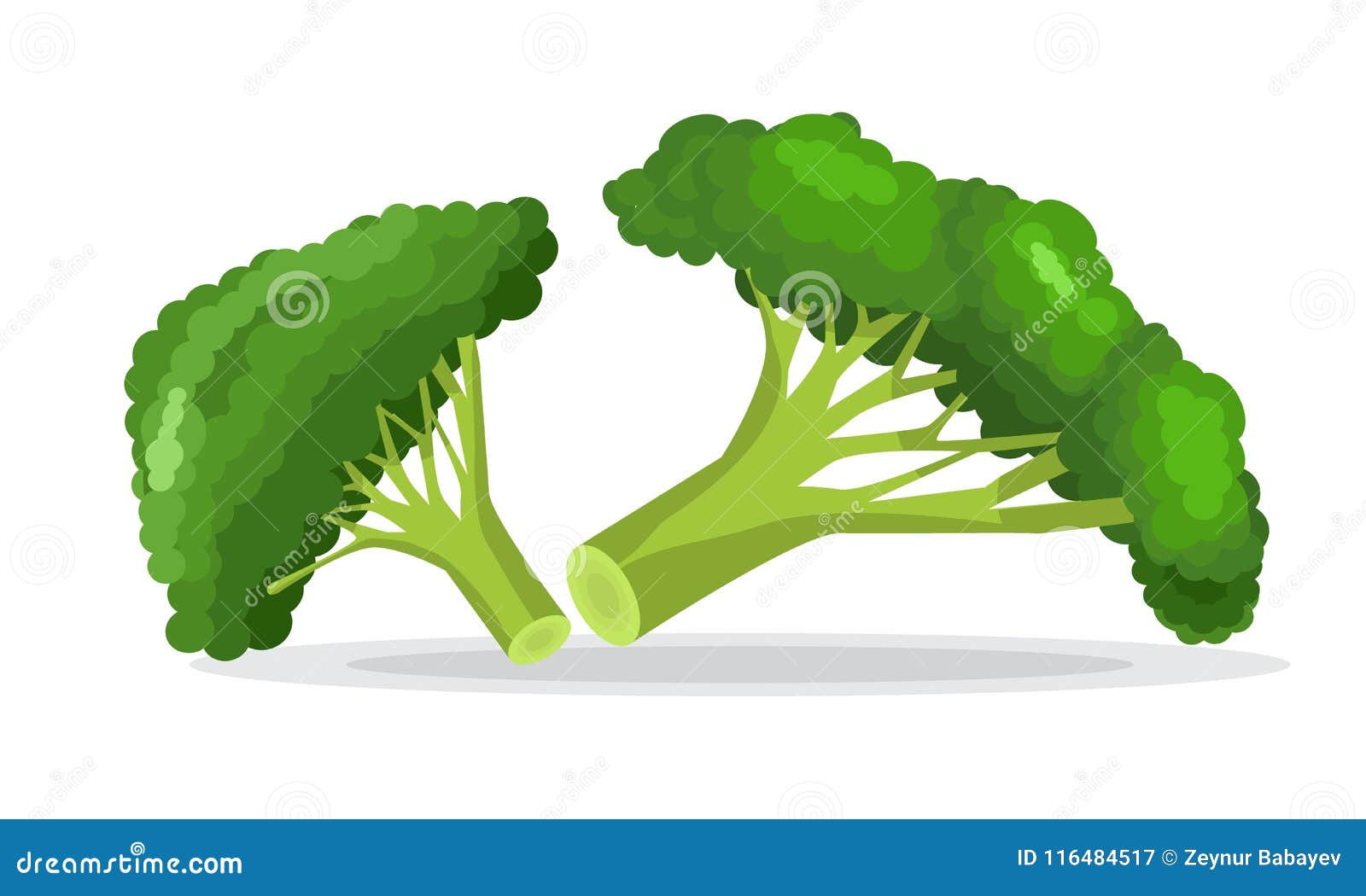 Vector Collection of Colorful Broccoli. Flat and Solid Color Style