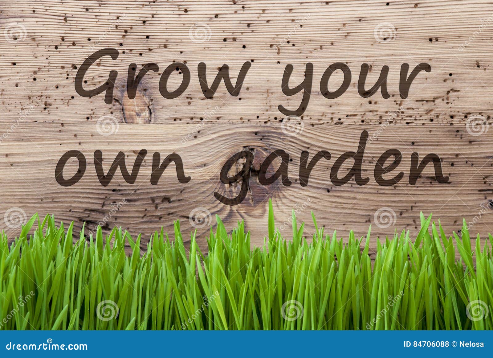 bright wooden background, gras, grow your own garden