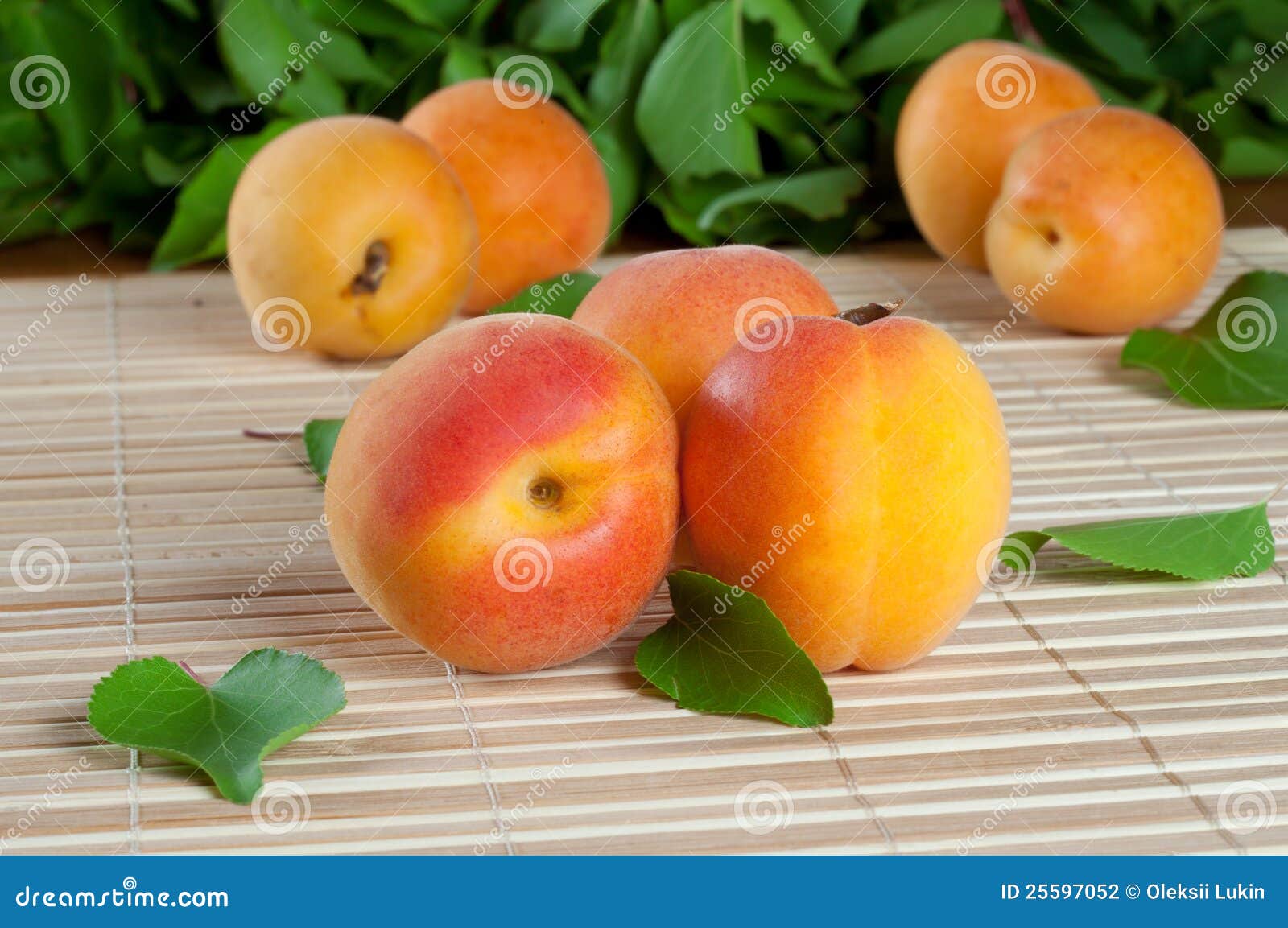 Bright Yellow Apricot with Leaves Stock Photo Image of vibrant, sweet
