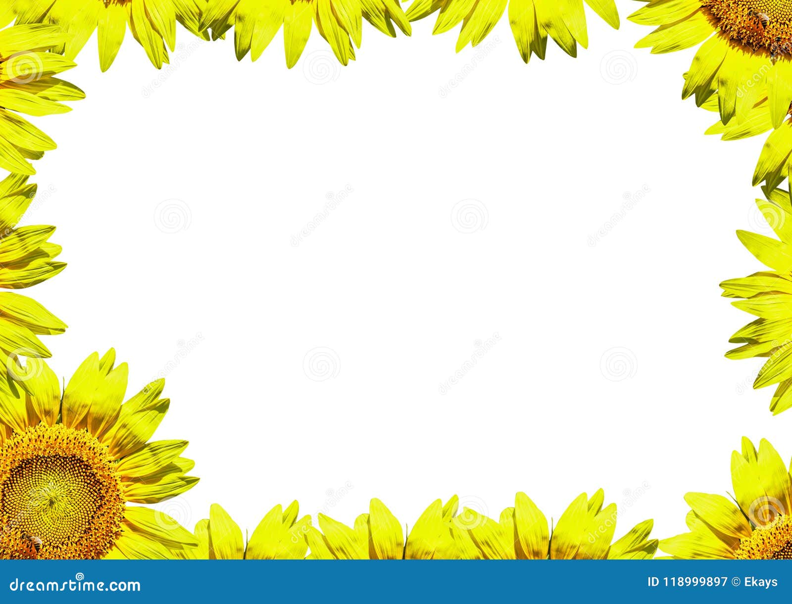 free sunflower page borders for word free sunflower page borders for word