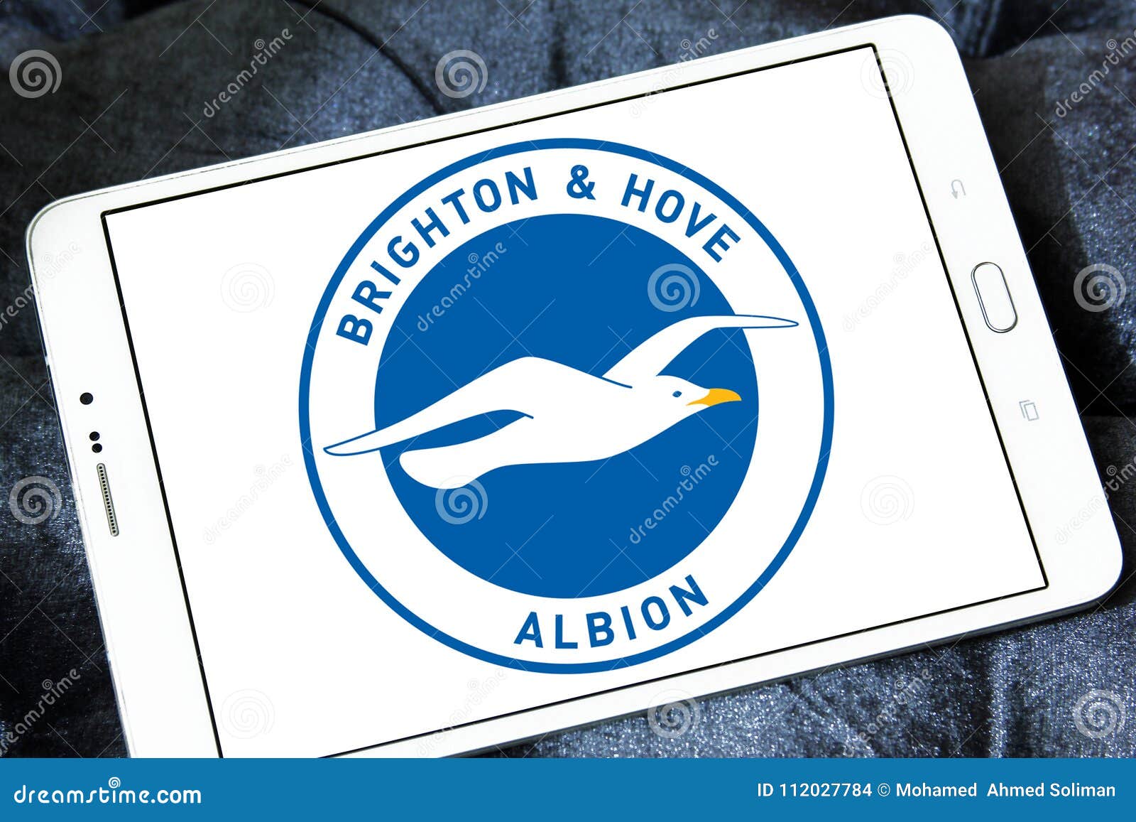 Brighton Hove Albion F C Football Club Logo Editorial Stock