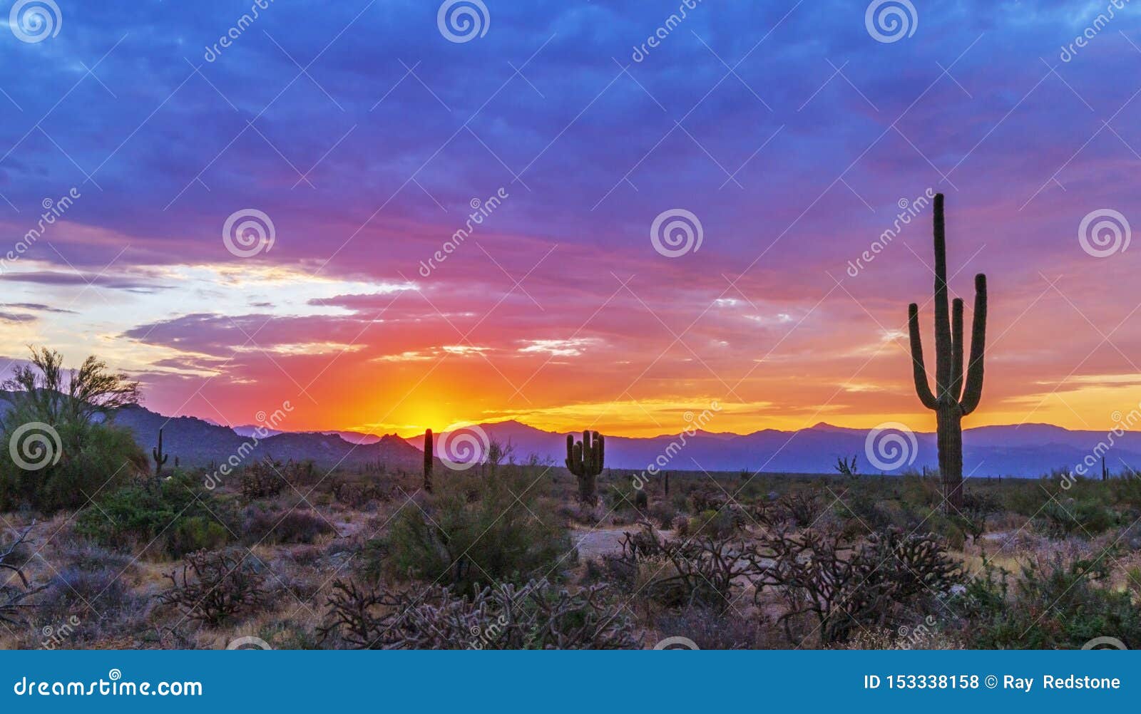 Brilliant AZ Sunrise in North Scottsdale Desert Preserve Stock Photo ...