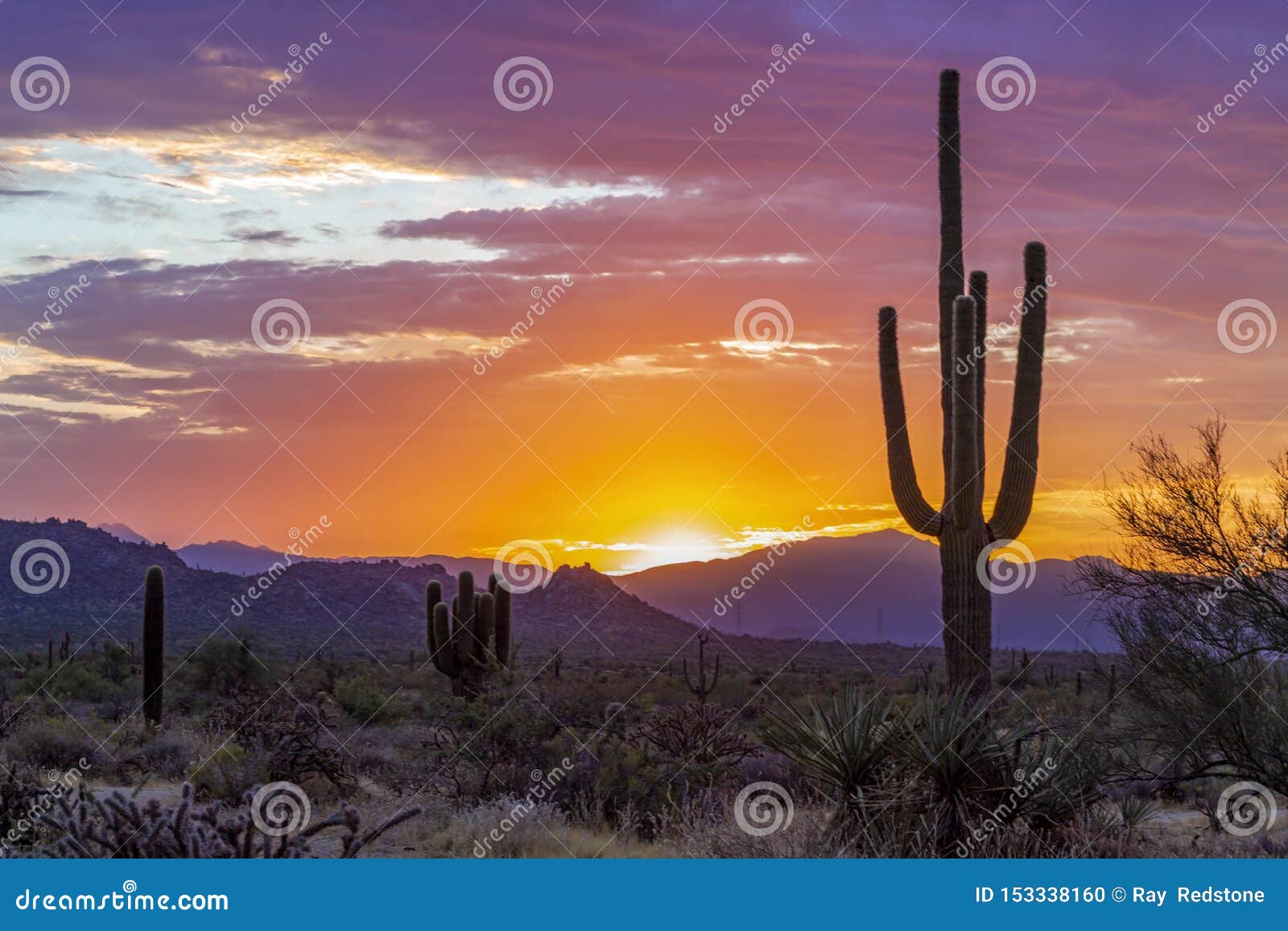 Brilliant Sunrise Landscape in North Scottsdale Desert Preserve Stock ...