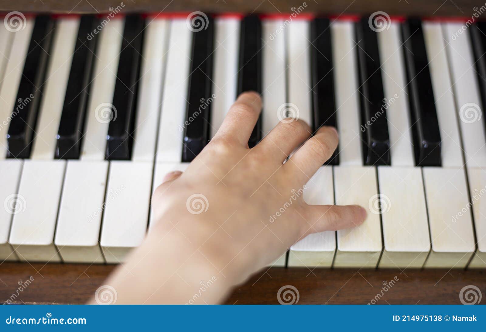 Chaves De Xadrez E Piano Tão Perto Foto de Stock - Imagem de potência,  inteligência: 219983936