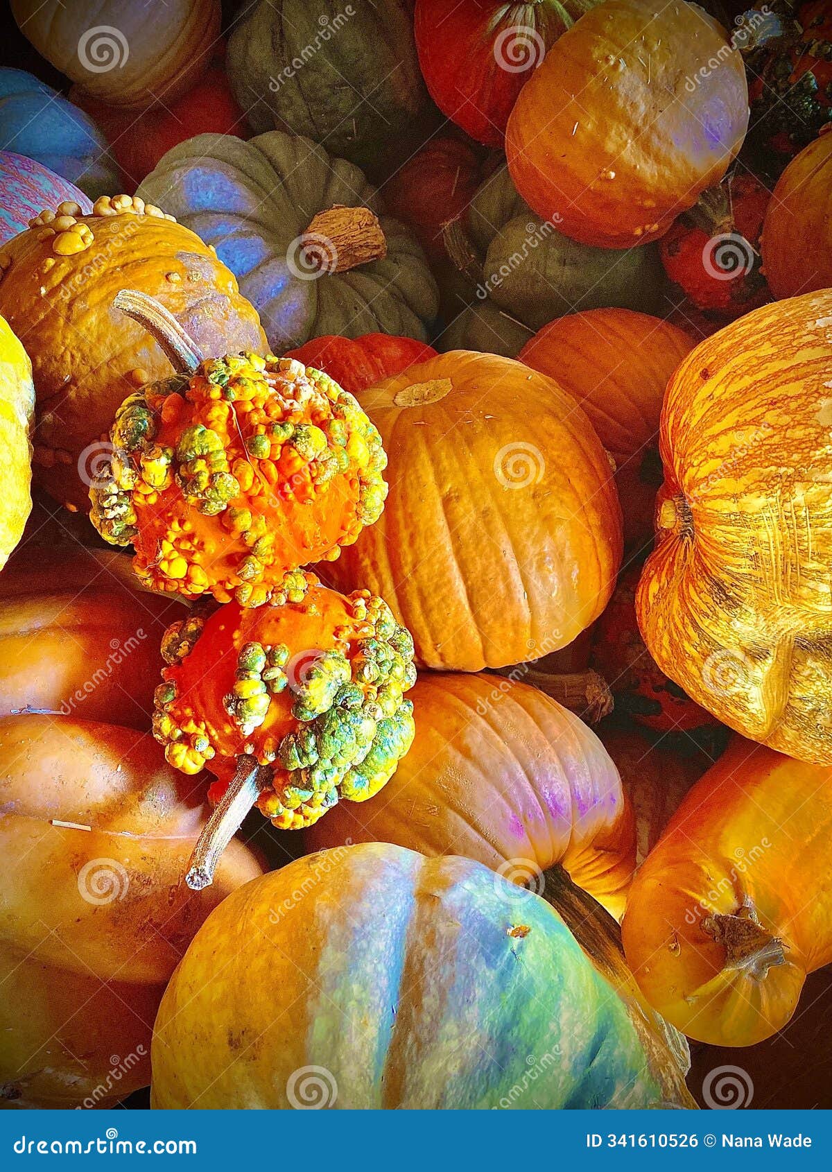 festive autumn pumpkins