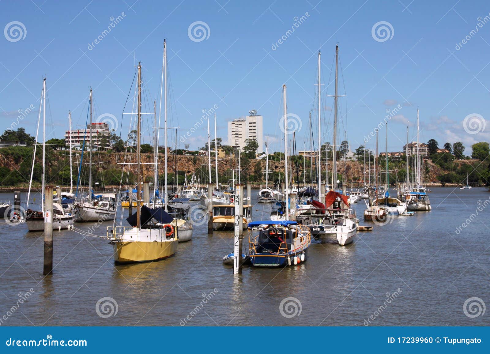 Brisbane marina stock photo. Image of queensland, motorboats 17239960