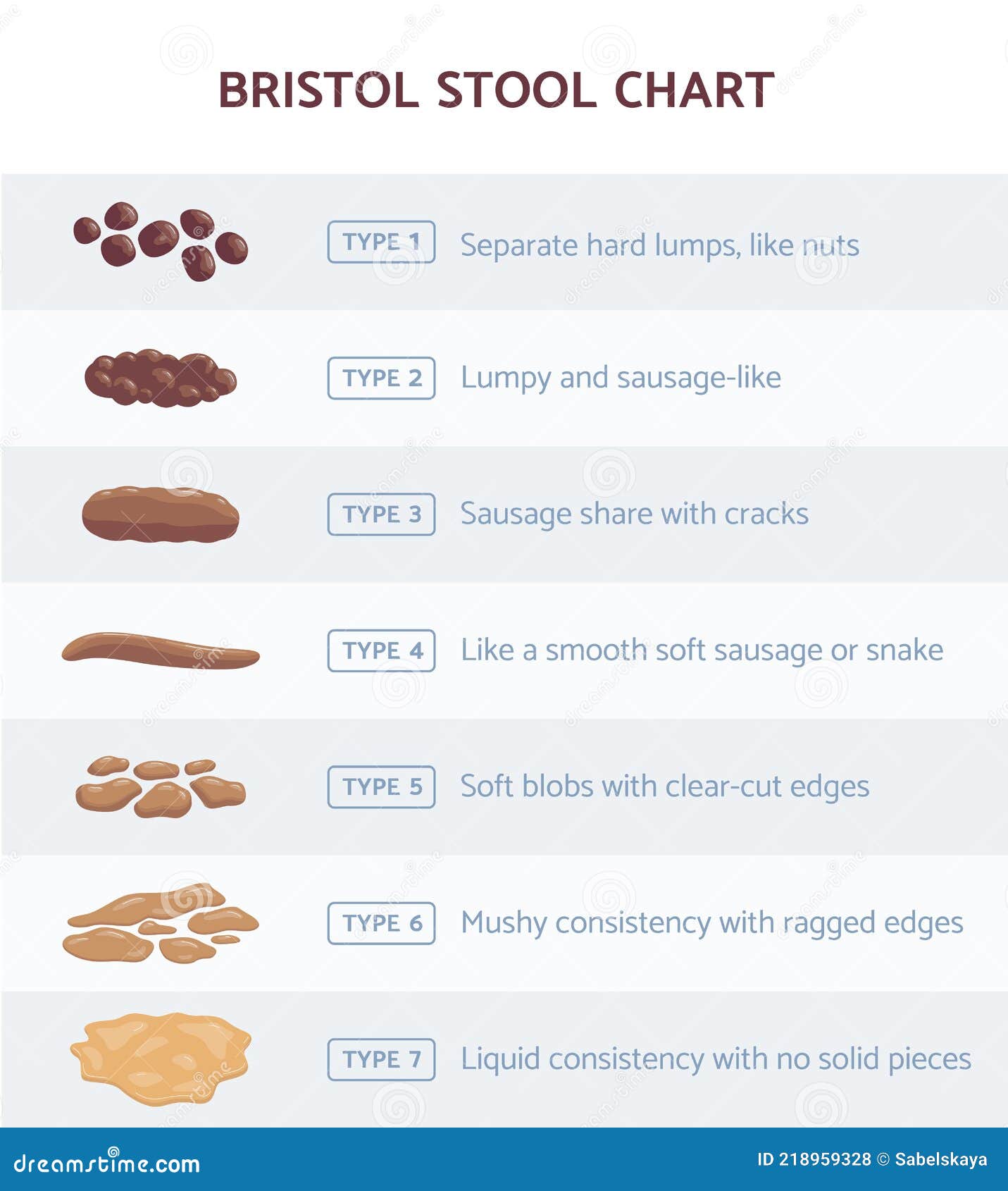 Bristol Stool Chart for Faeces Type Classification, Flat Vector ...