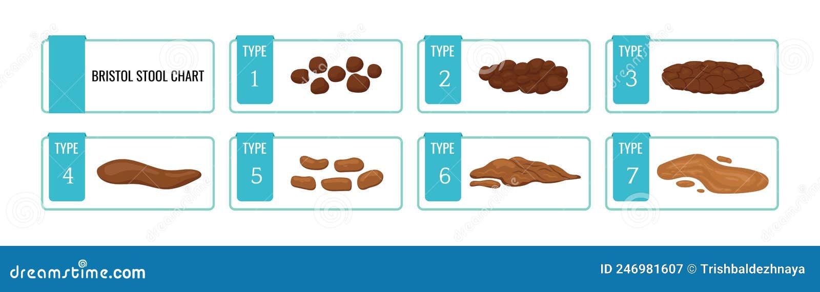 Bristol Stool Chart Scale with Faesces Structure Classification Stock ...