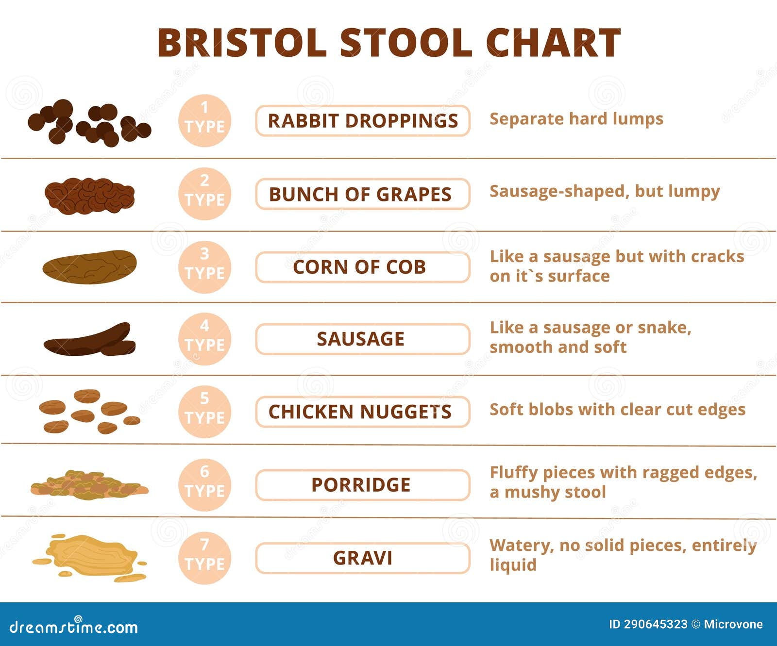 Bristol Stool Scale, Poop Types Infographic. Digestive Problems Medical ...
