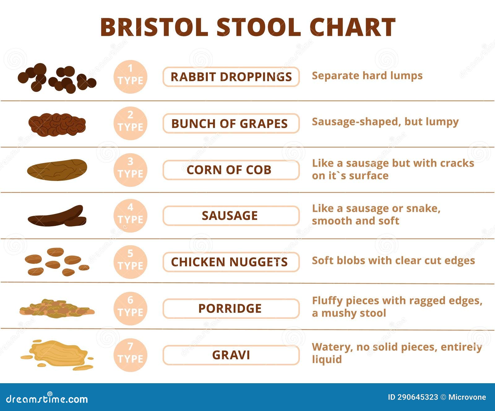 Bristol Stool Scale, Poop Types Infographic. Digestive Problems Medical