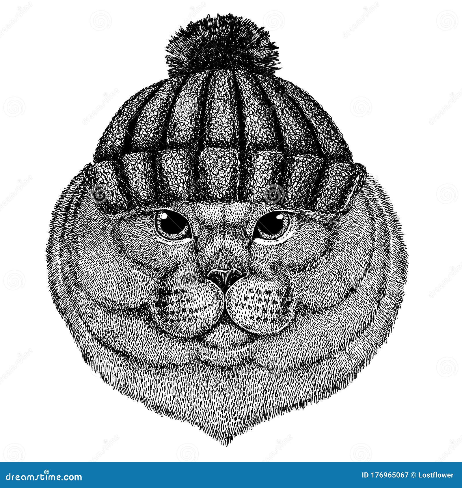 british cat cool animal wearing knitted winter hat. warm headdress beanie christmas cap for tattoo, t-shirt, emblem