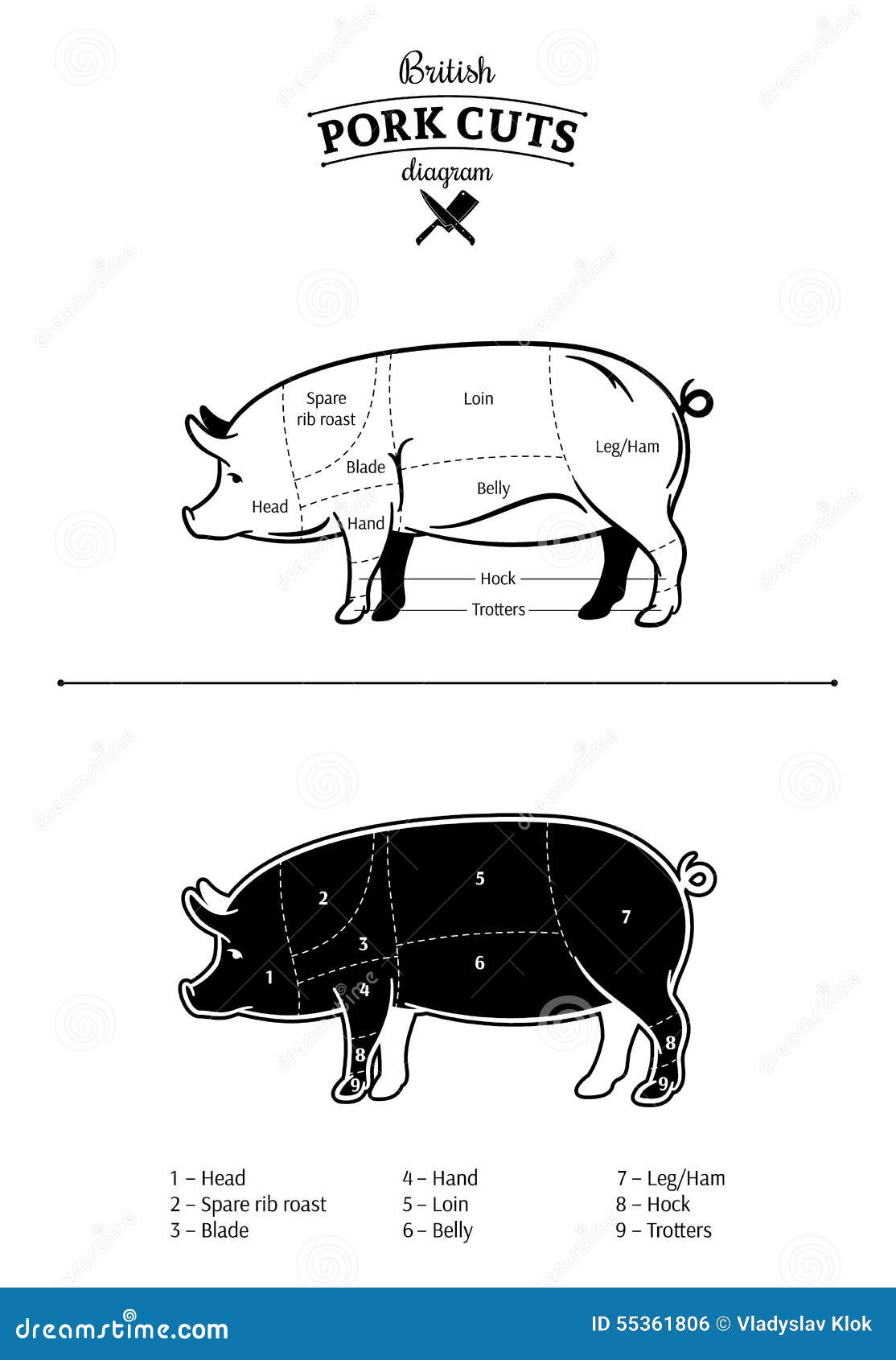 British Pork Cuts Diagram stock vector. Illustration of hock 55361806