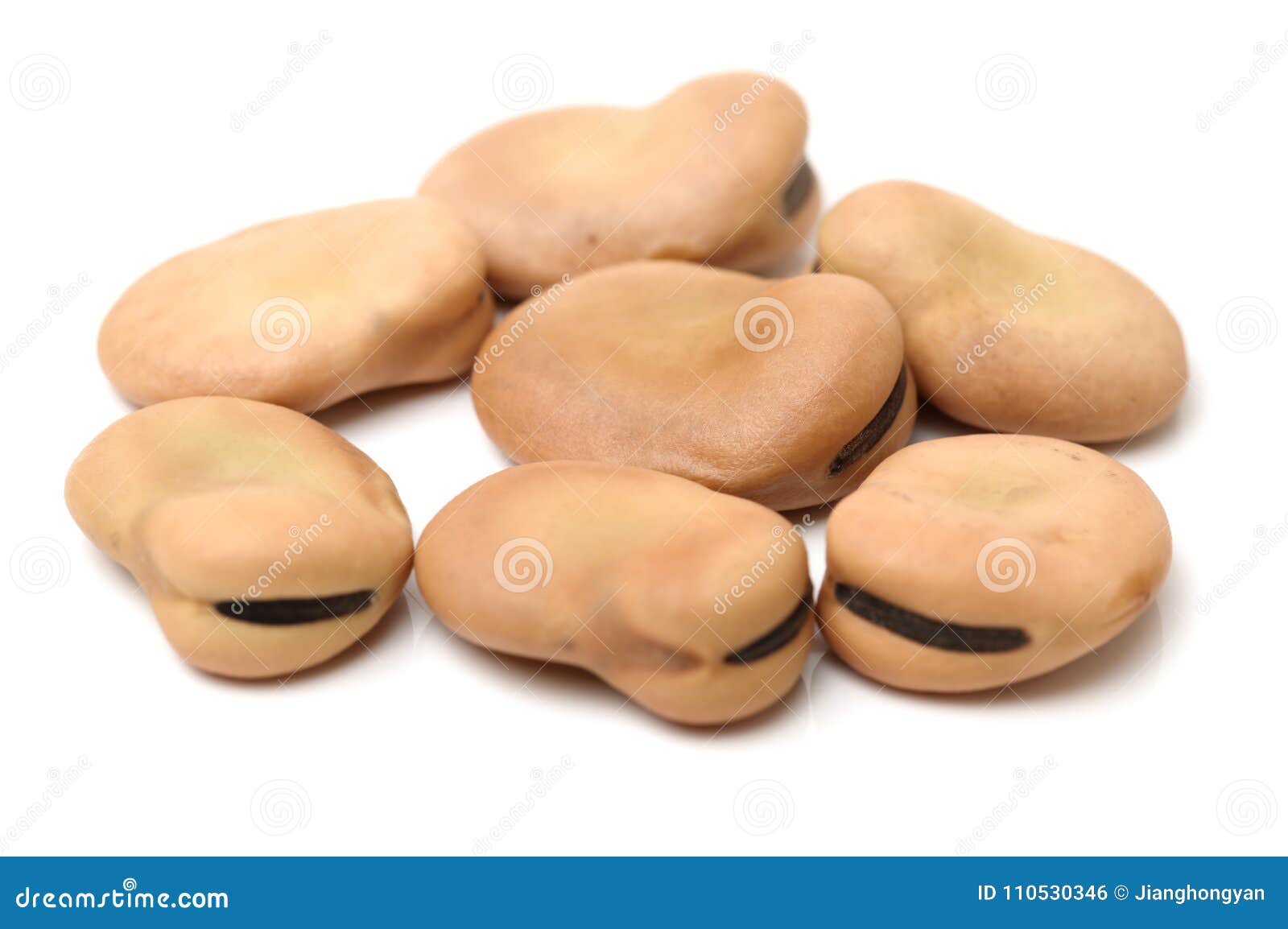 Broad Bean Fava Bean. Faba, Grain Stock Photo - Image of fava, bean ...