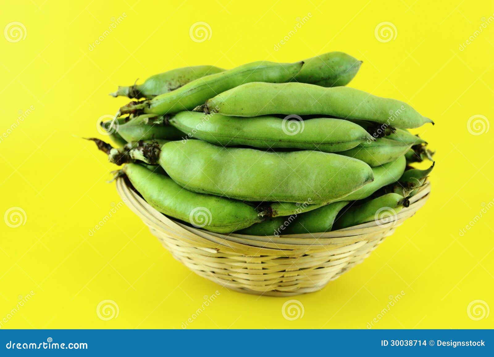 Broad bean pods and beans stock photo. Image of fiber 30038714