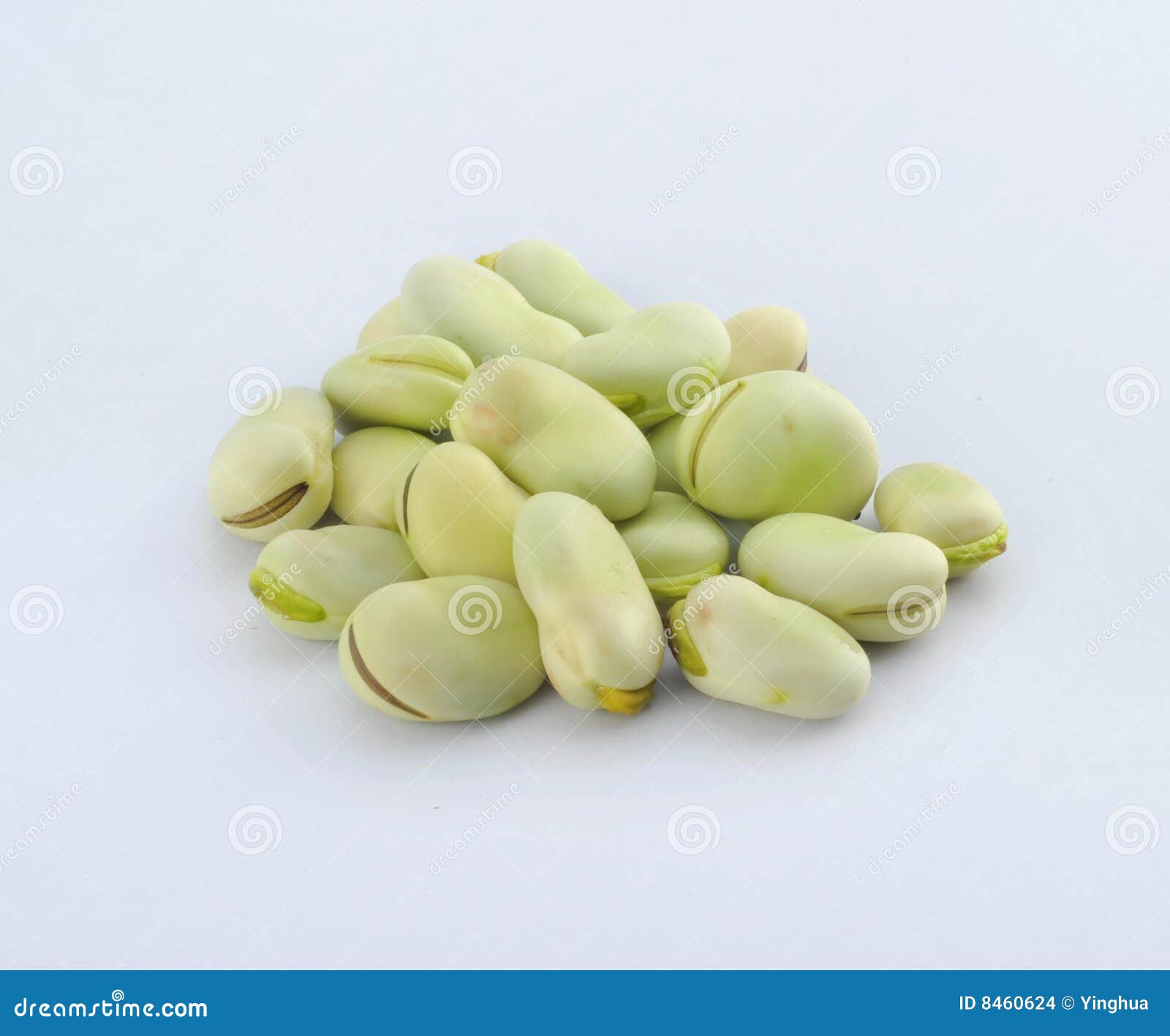 Broad beans stock photo. Image of vegetables, nutrition 8460624