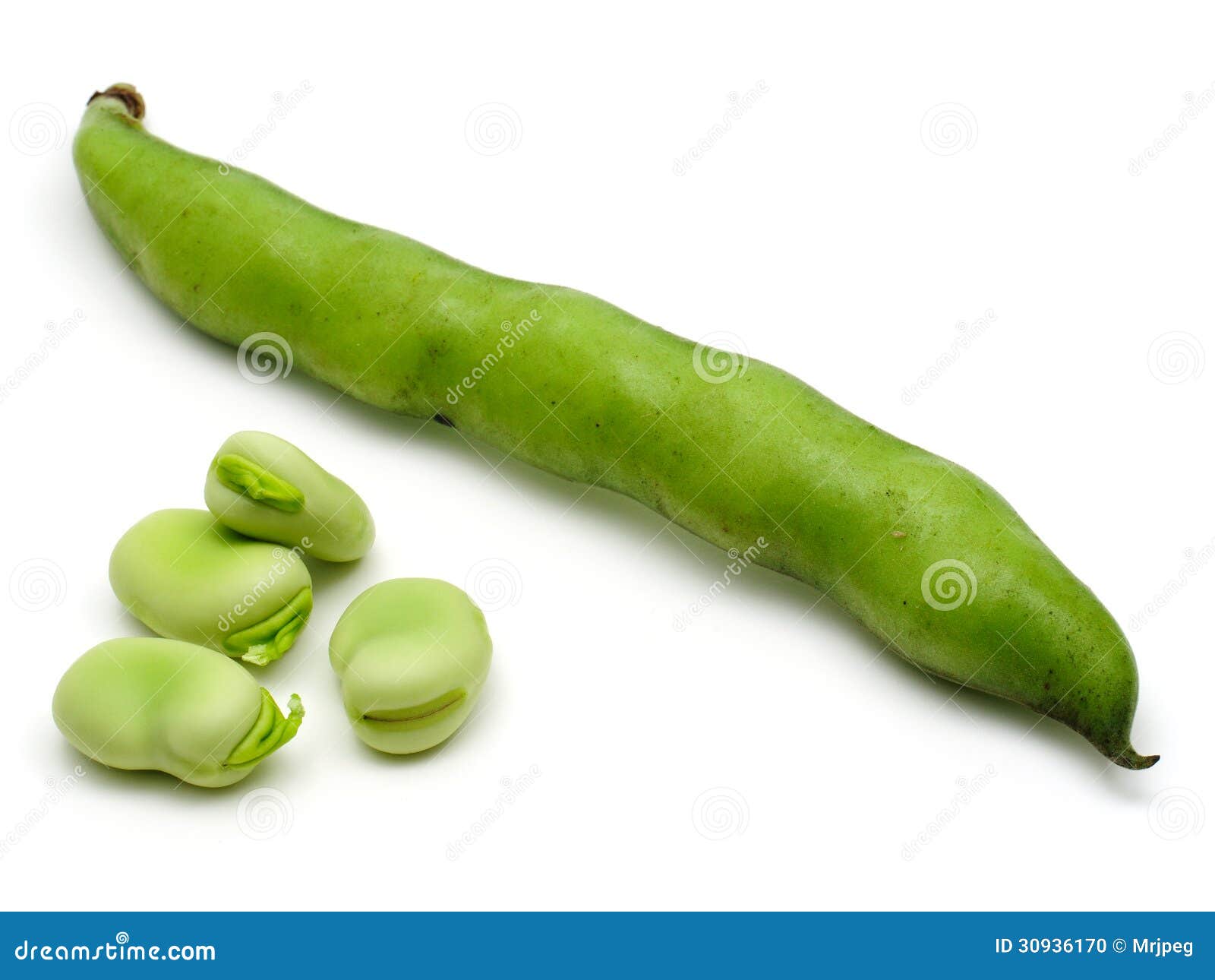 Broad Beans stock photo. Image of macro, bean, hull, organic 30936170