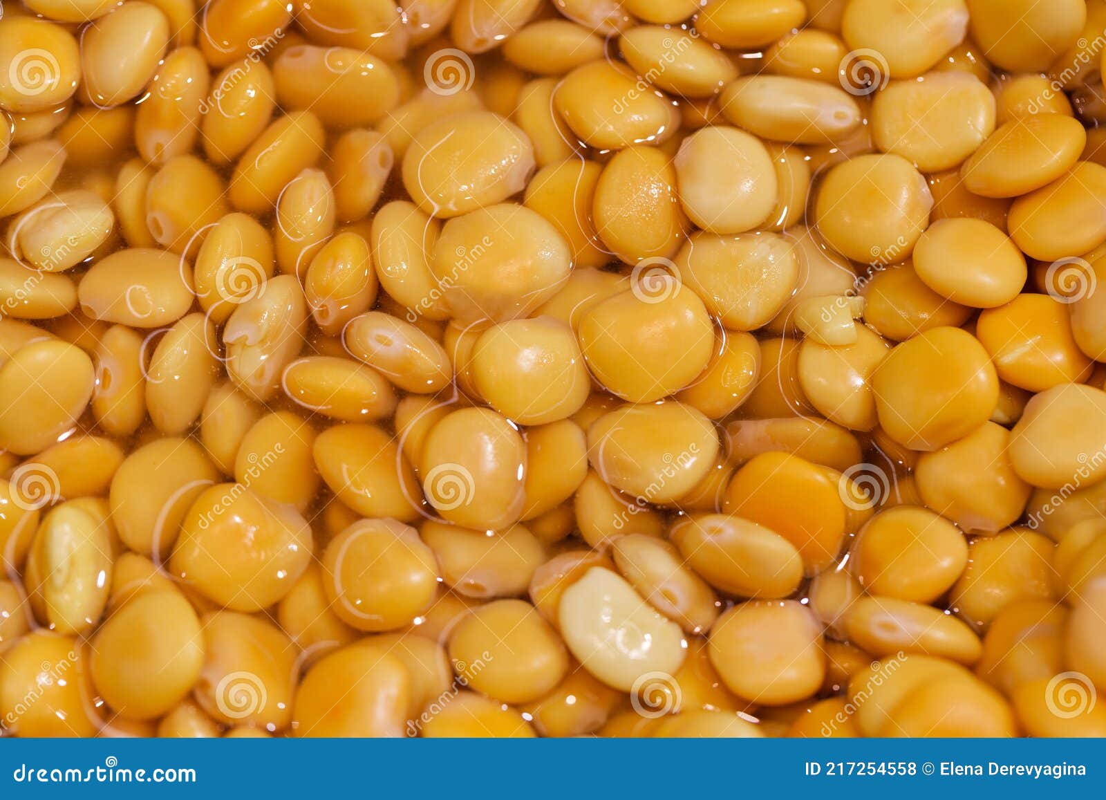 Broad Beans Yellow Cooked in Brine Marinade a Lot in Bulk Stock Photo
