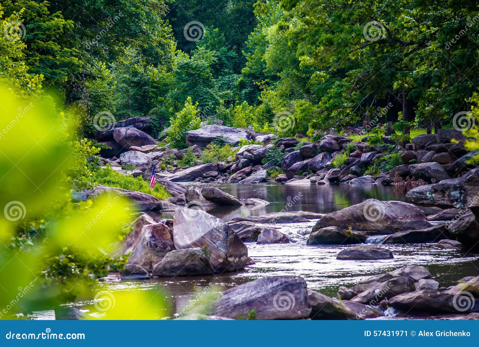 Broad River Flowing through Wooded Forest Stock Image Image of green