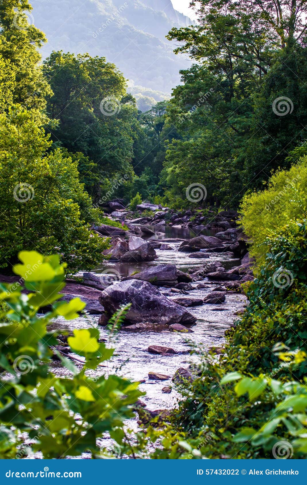 Broad river stock photo. Image of broad, blue, river 57432022