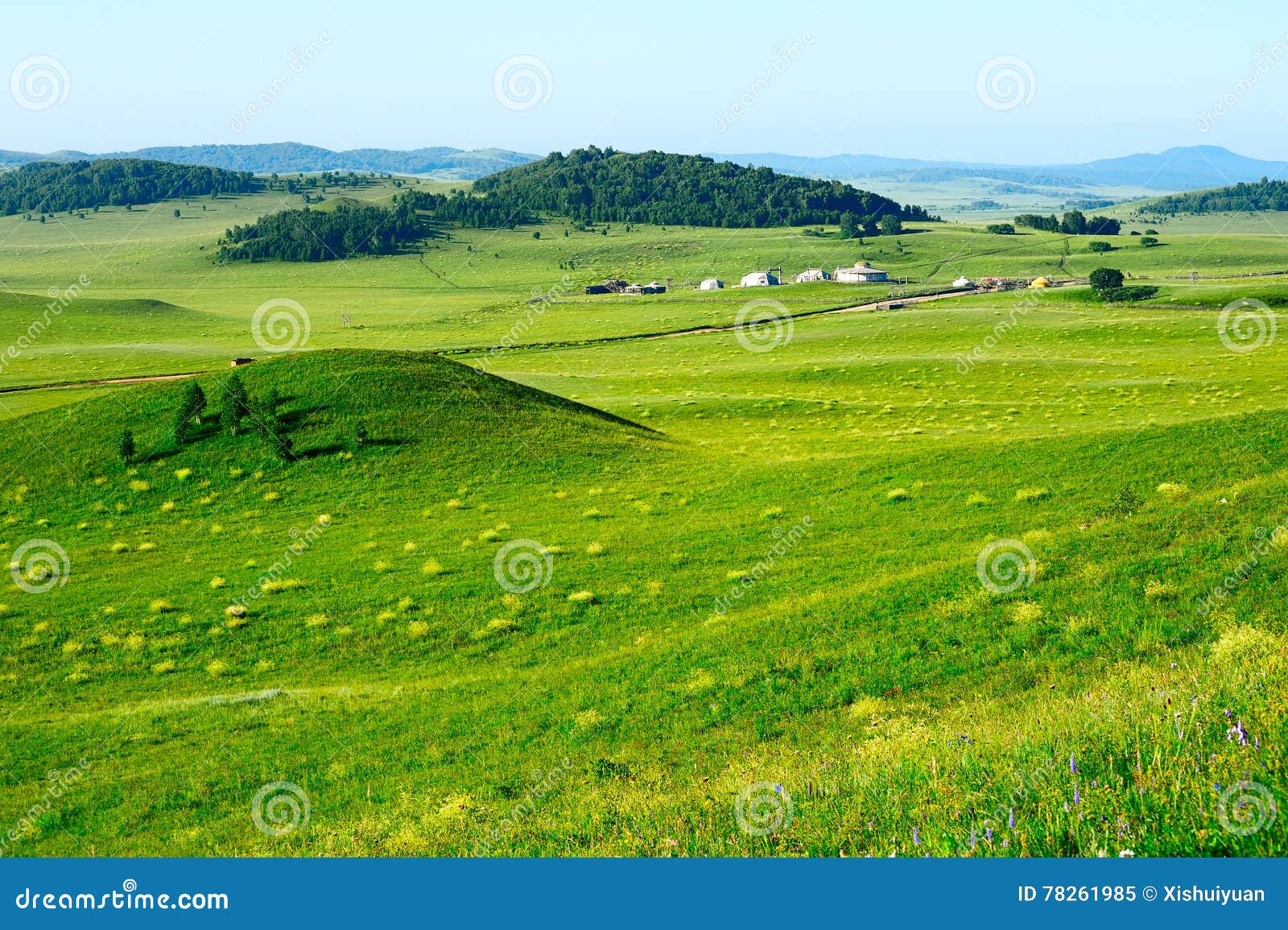 the broad summertid grassland