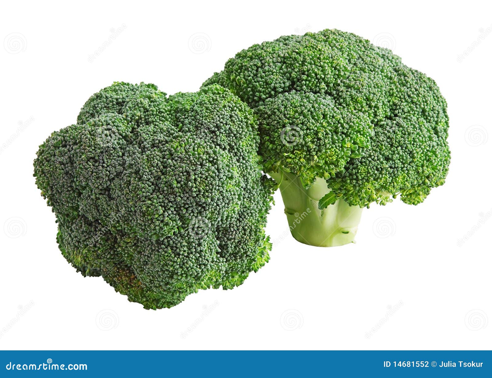 Broccoli Cabbage. stock photo. Image of calories, broccoli 14681552