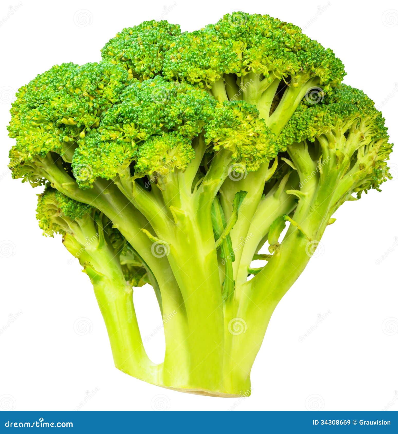 Broccoli cabbage stock image. Image of food, vegetables 34308669