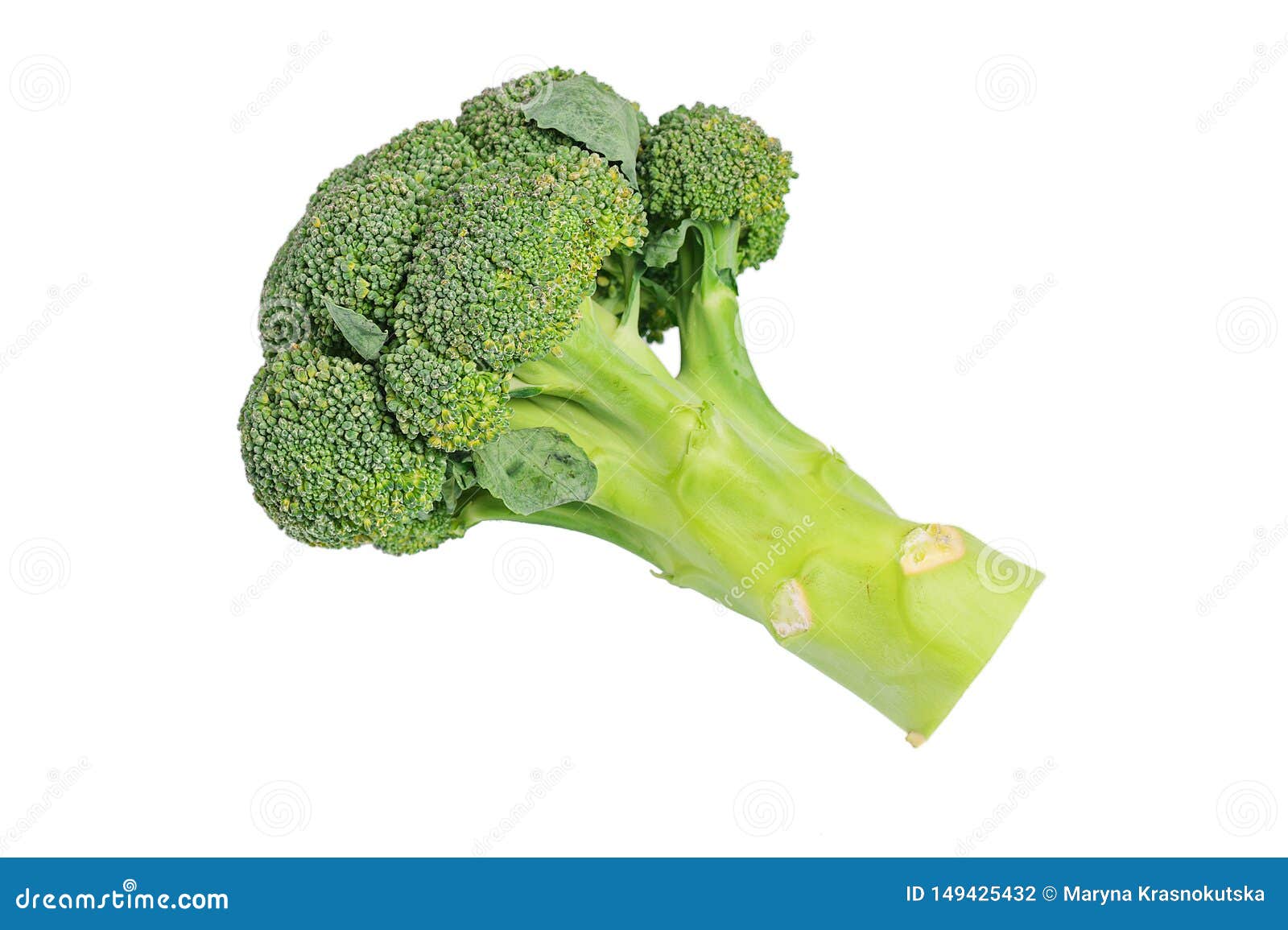 Broccoli Cabbage on White Background. Isolate Photo Stock Photo Image