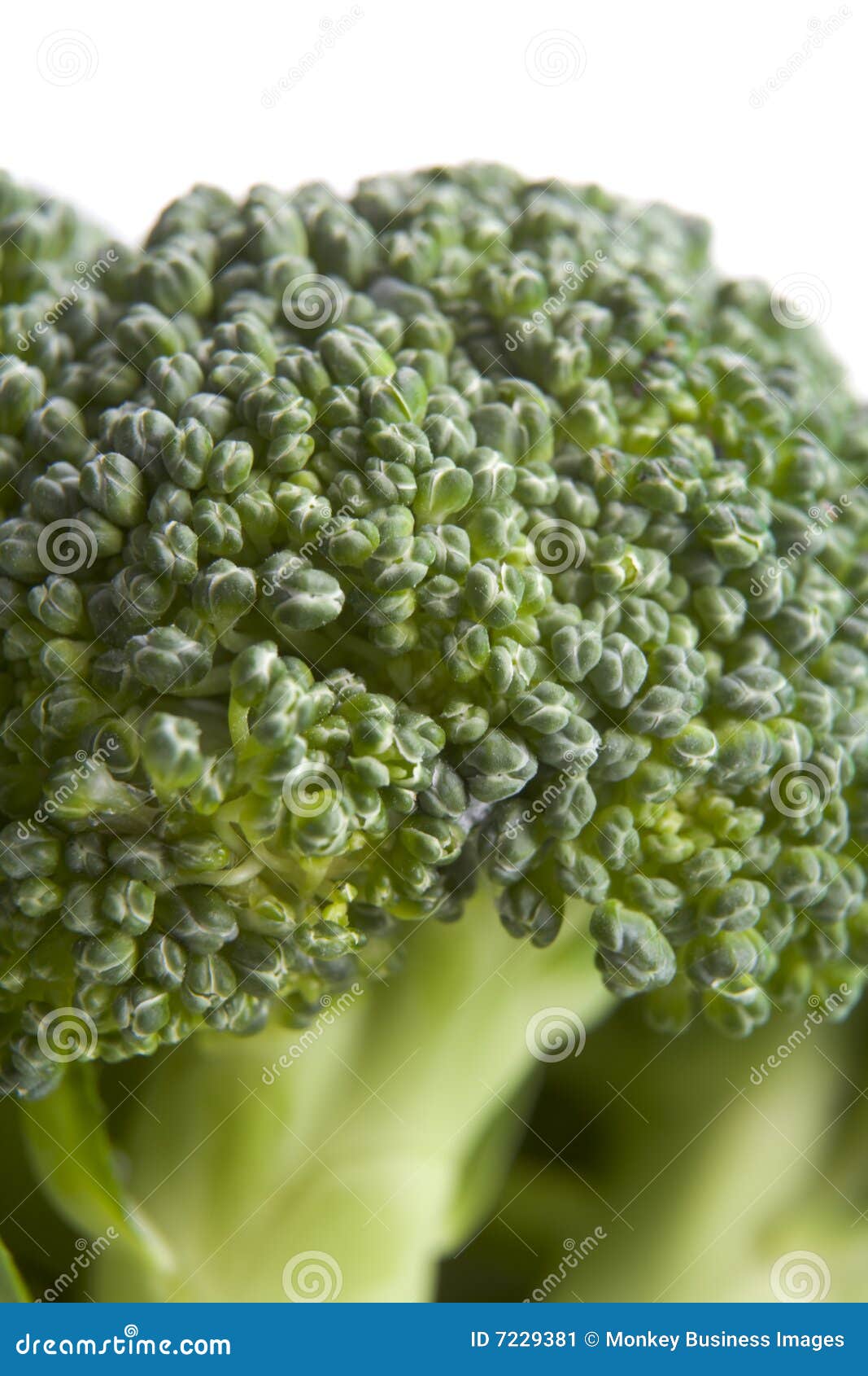 broccoli floret