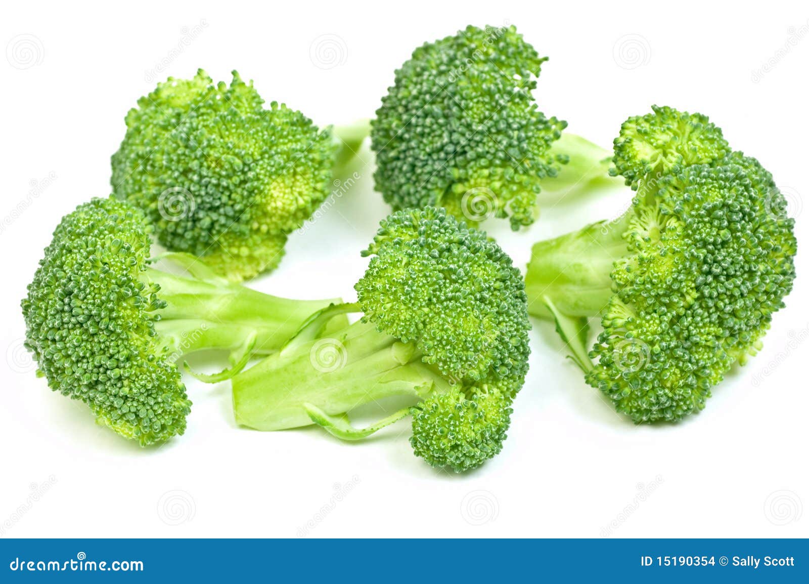 Broccoli florets 2 stock photo. Image of nutrition, ingredient 15190354